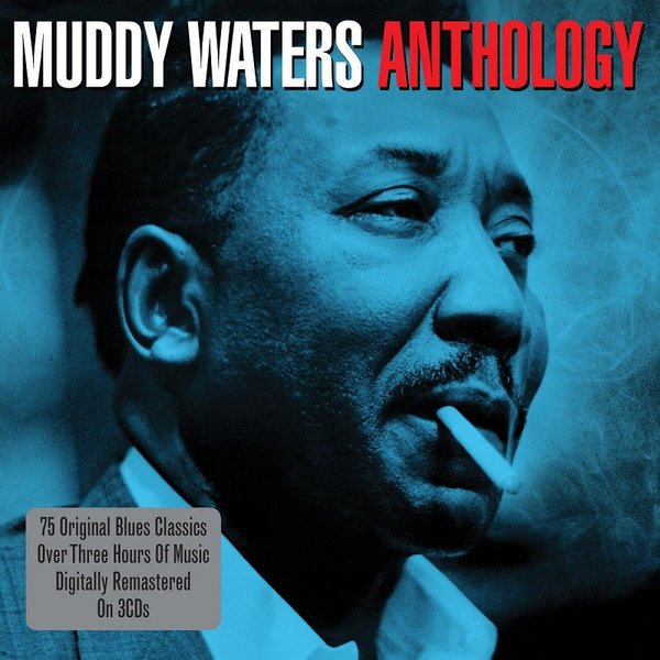 Stiahni si Hudba Muddy Waters - Anthology (2011) FLAC