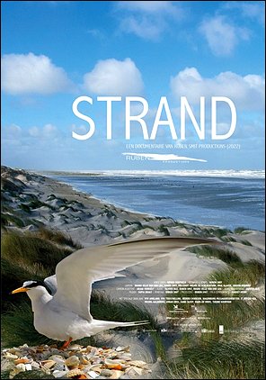 Stiahni si Dokument Vzácná krása Nizozemska / Strand (2023)(CZ)[TvRip][1080p] = CSFD 50%
