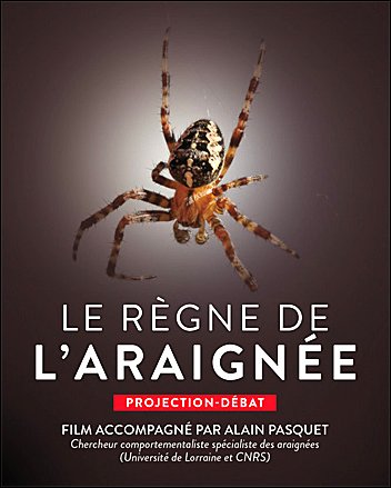 Stiahni si Dokument Superpavouk / Le Regne de l'araignee (2012)(CZ)[TvRip][1080i]