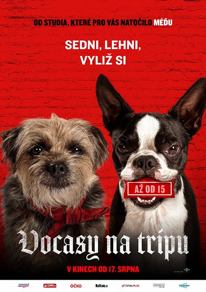 Stiahni si HD Filmy Vocasy na tripu / Strays (2023)(CZ/EN)[1080p][WebRip] = CSFD 73%