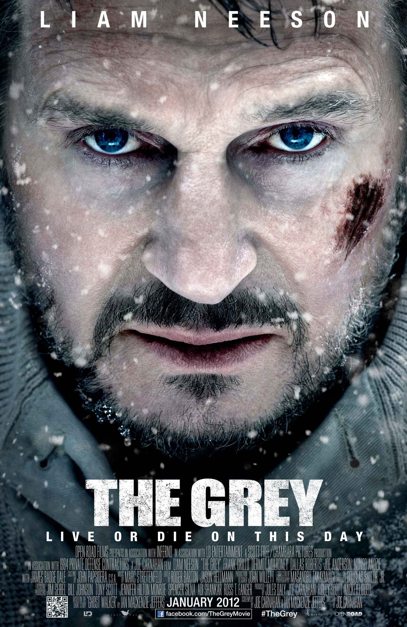Stiahni si HD Filmy Mezi vlky / The Grey (2011)(CZ/EN)(1080p FullHD BRRip) = CSFD 64%